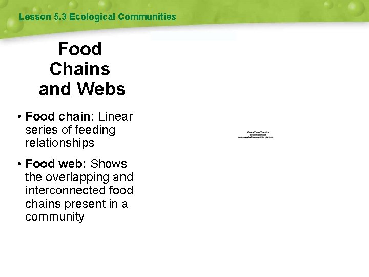 Lesson 5. 3 Ecological Communities Food Chains and Webs • Food chain: Linear series