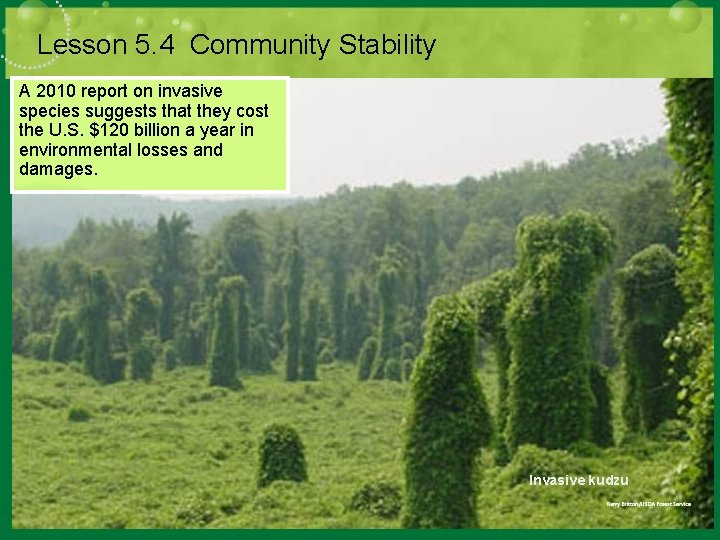 Lesson 5. 4 Community Stability A 2010 report on invasive species suggests that they