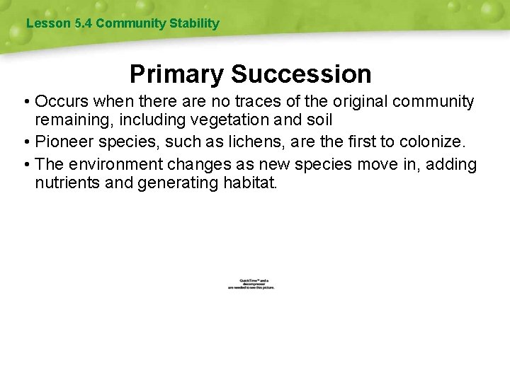 Lesson 5. 4 Community Stability Primary Succession • Occurs when there are no traces