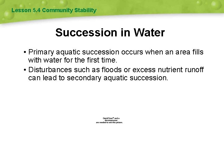 Lesson 5. 4 Community Stability Succession in Water • Primary aquatic succession occurs when