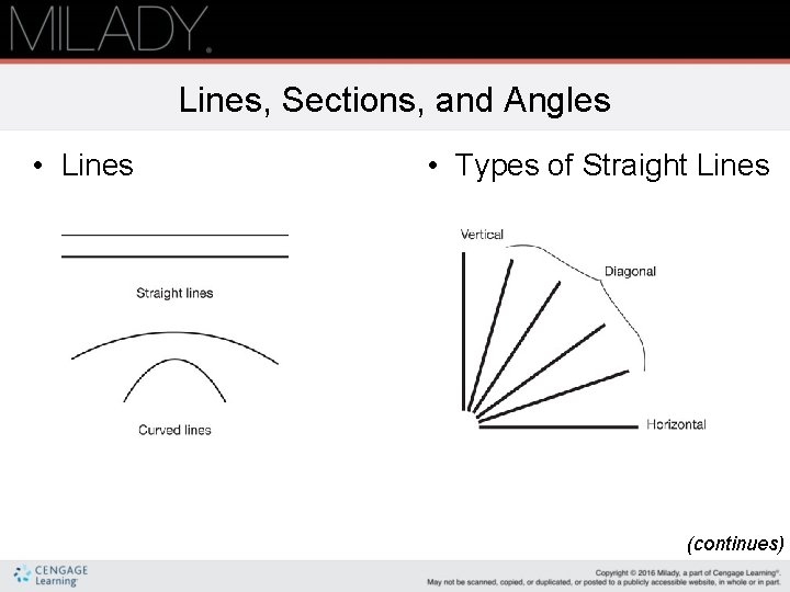 Lines, Sections, and Angles • Lines • Types of Straight Lines (continues) 