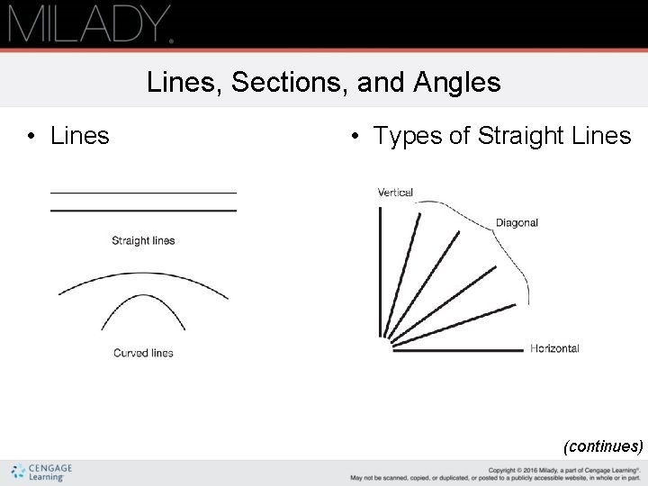 Lines, Sections, and Angles • Lines • Types of Straight Lines (continues) Lines, Sections, and Angles • Lines • Types of Straight Lines (continues)