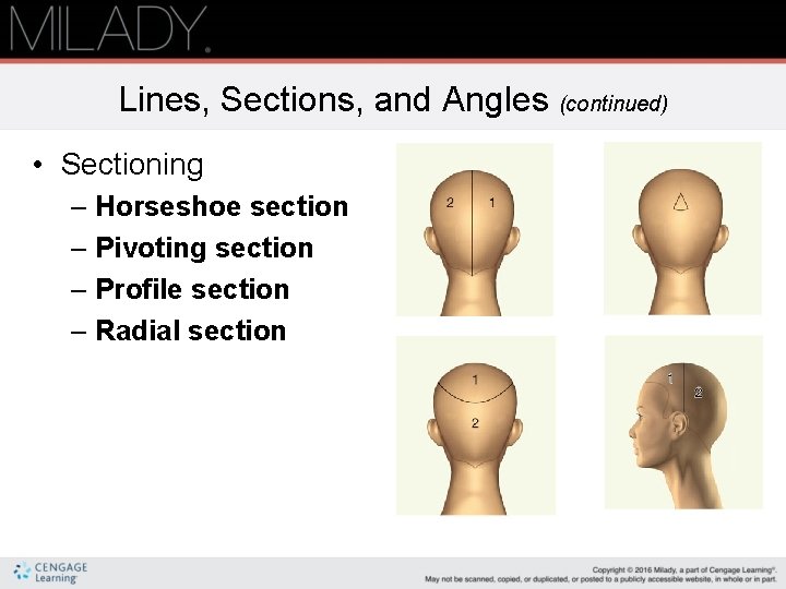 Lines, Sections, and Angles (continued) • Sectioning – Horseshoe section – Pivoting section –