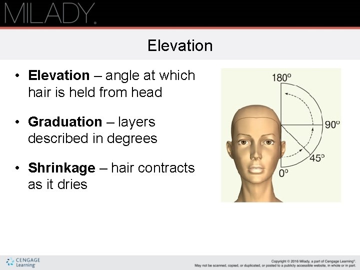 Elevation • Elevation – angle at which hair is held from head • Graduation