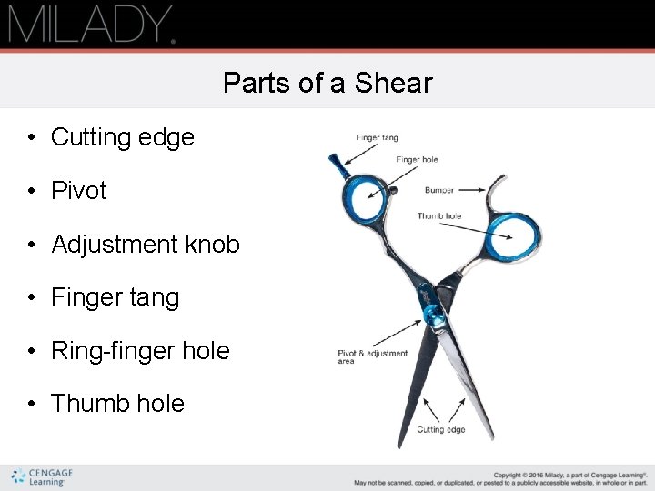 Parts of a Shear • Cutting edge • Pivot • Adjustment knob • Finger