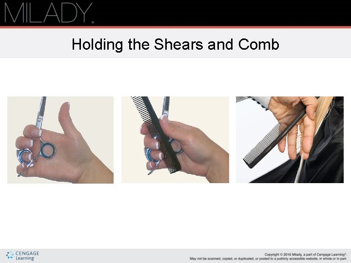 Holding the Shears and Comb Holding the Shears and Comb