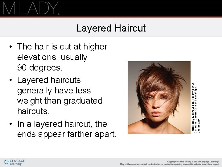  • The hair is cut at higher elevations, usually 90 degrees. • Layered