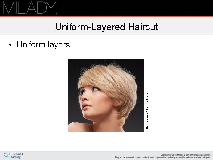 Uniform-Layered Haircut © Stock Avalanche/Shutterstock. com • Uniform layers Uniform-Layered Haircut © Stock Avalanche/Shutterstock. com • Uniform layers