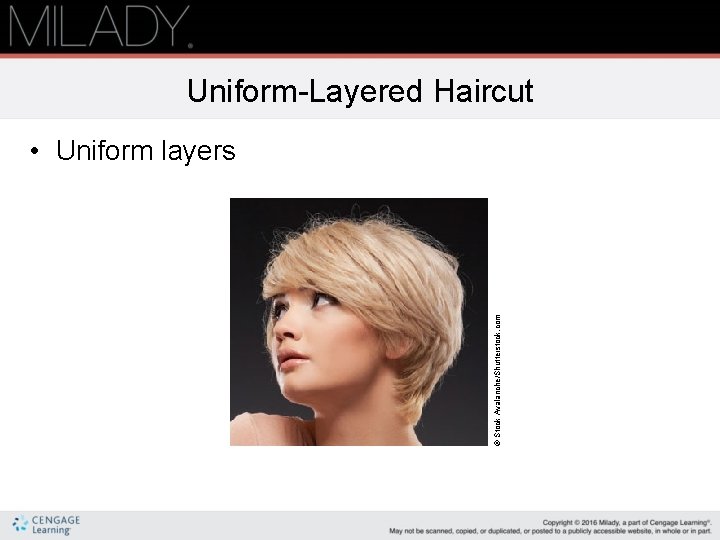 Uniform-Layered Haircut © Stock Avalanche/Shutterstock. com • Uniform layers 