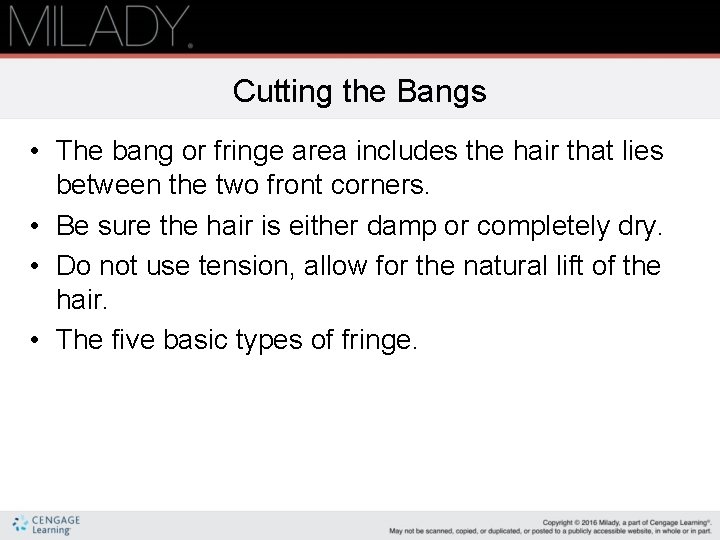 Cutting the Bangs • The bang or fringe area includes the hair that lies