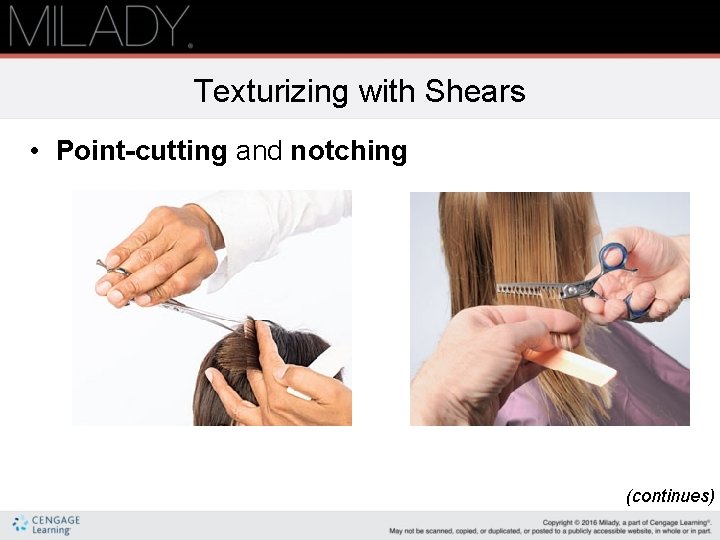 Texturizing with Shears • Point-cutting and notching (continues) Texturizing with Shears • Point-cutting and notching (continues)