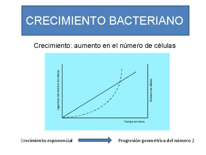 CRECIMIENTO BACTERIANO Crecimiento: aumento en el número de células Crecimiento exponencial Progresión geométrica del