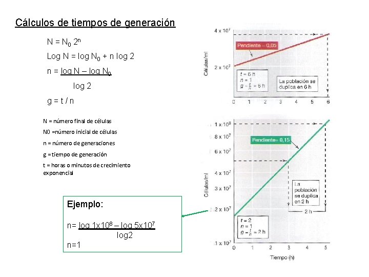 Cálculos de tiempos de generación N = N 0 2 n Log N =