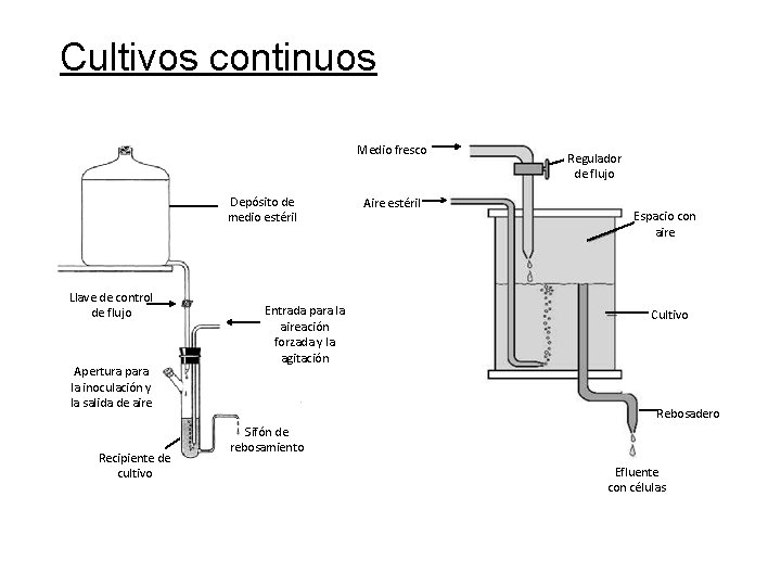 Cultivos continuos Medio fresco Depósito de medio estéril Llave de control de flujo Apertura