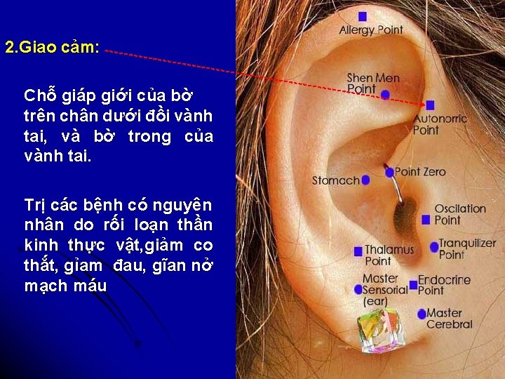 2. Giao cảm: Chỗ giáp giới của bờ trên chân dưới đồi vành tai,