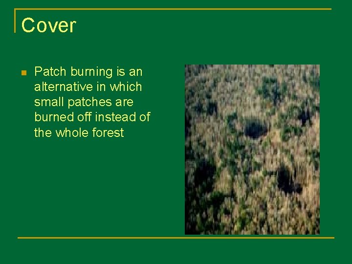 Cover n Patch burning is an alternative in which small patches are burned off