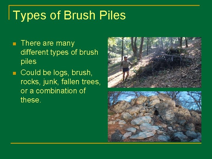 Types of Brush Piles n n There are many different types of brush piles