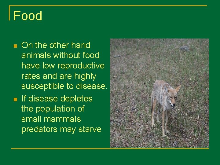 Food n n On the other hand animals without food have low reproductive rates