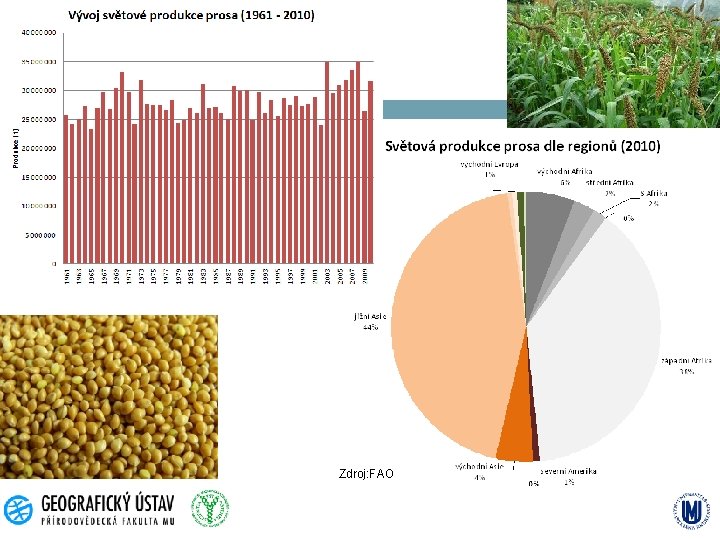 Zdroj: FAO 