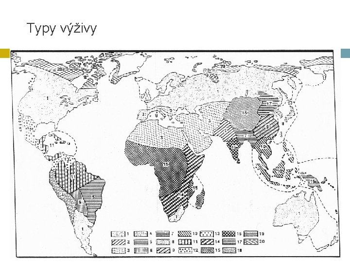 Typy výživy 