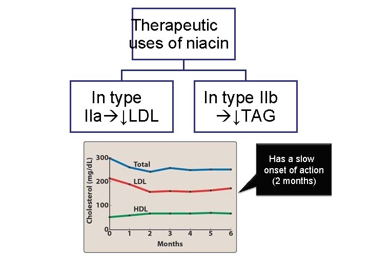 Therapeutic uses of niacin In type IIa ↓LDL In type IIb ↓TAG Has a