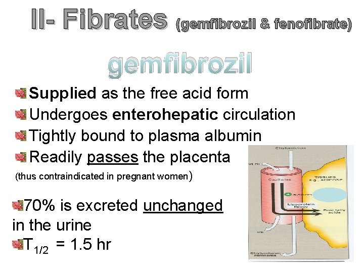 II- Fibrates (gemfibrozil & fenofibrate) gemfibrozil Supplied as the free acid form Undergoes enterohepatic