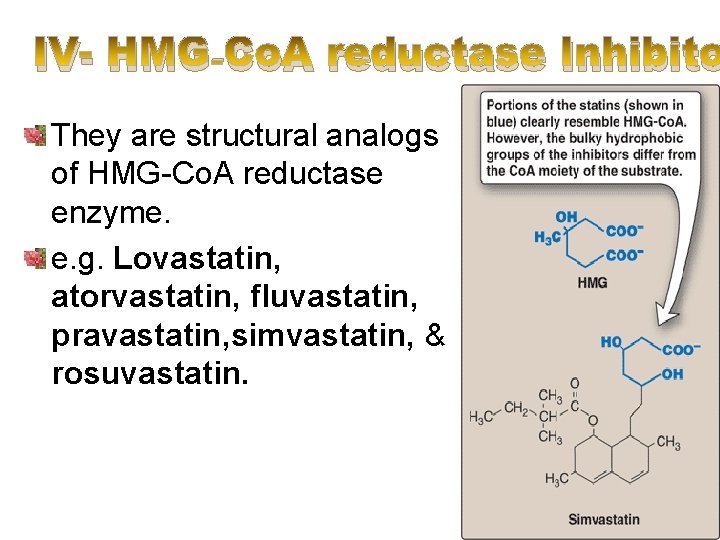 IV- HMG-Co. A reductase Inhibito They are structural analogs of HMG-Co. A reductase enzyme.