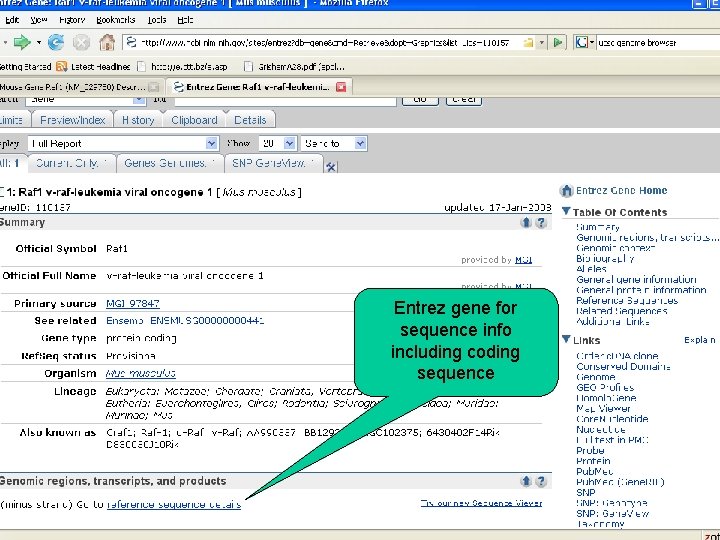 Entrez gene for sequence info including coding sequence 