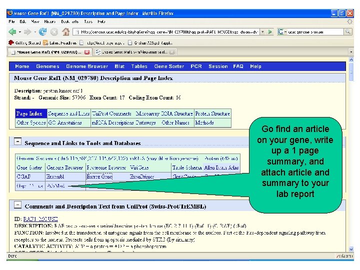 Go find an article on your gene, write up a 1 page summary, and