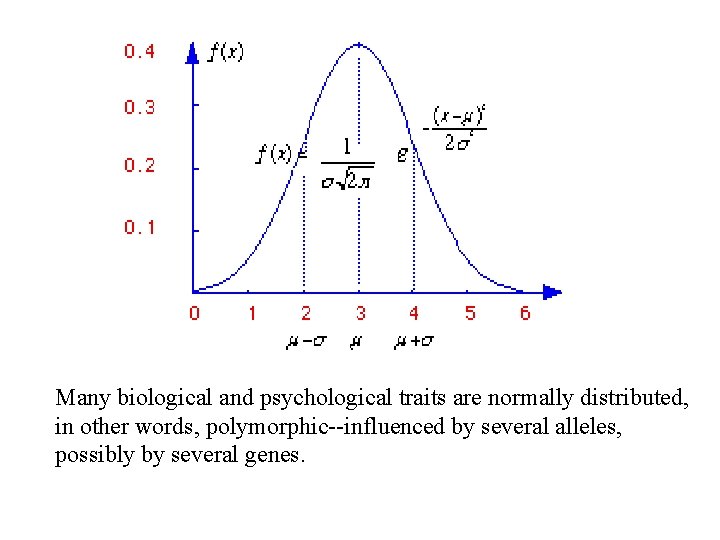 Many biological and psychological traits are normally distributed, in other words, polymorphic--influenced by several