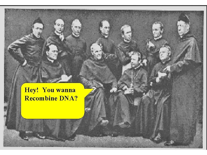 Hey! You wanna Recombine DNA? 