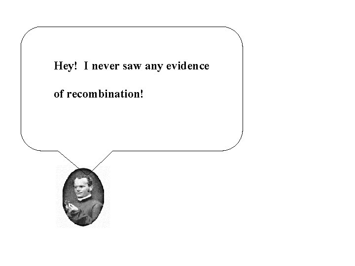 Hey! I never saw any evidence of recombination! 