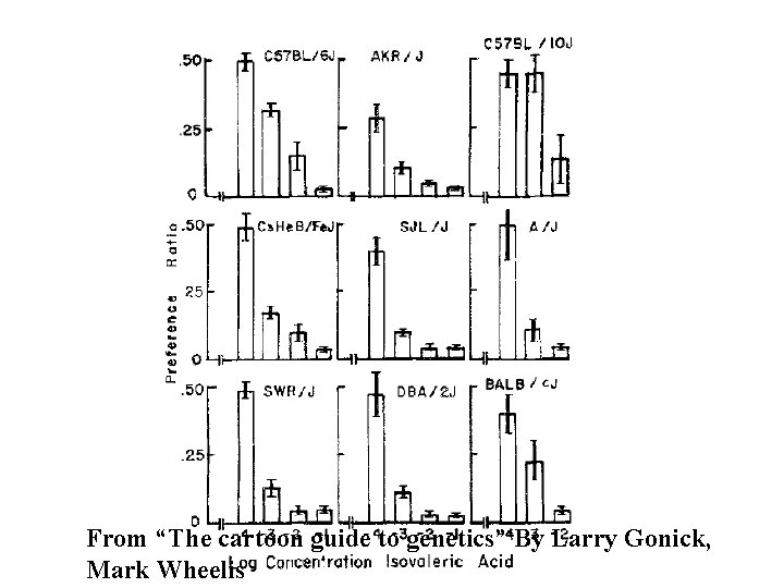 From “The cartoon guide to genetics” By Larry Gonick, Mark Wheelis 