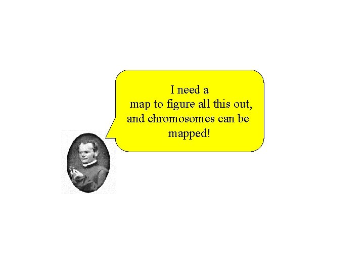 I need a map to figure all this out, and chromosomes can be mapped!