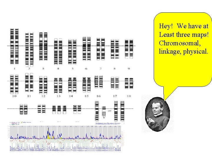 Hey! We have at Least three maps! Chromosomal, linkage, physical. 