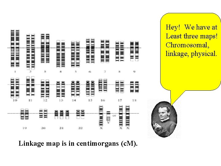 Hey! We have at Least three maps! Chromosomal, linkage, physical. Linkage map is in