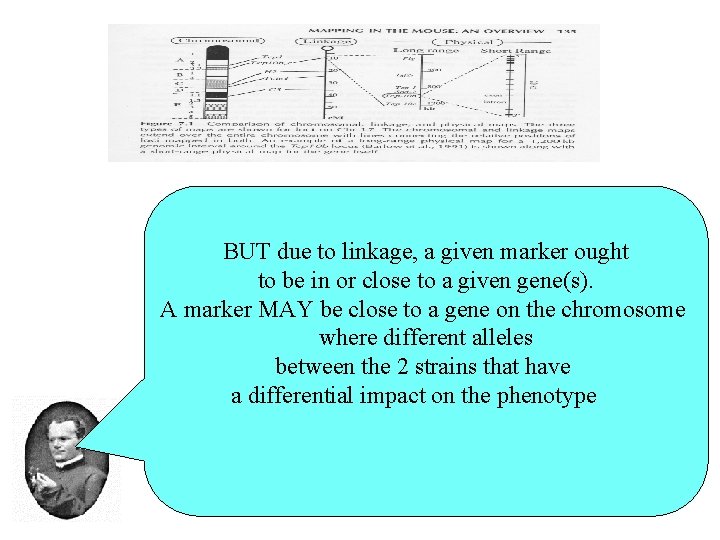 BUT due to linkage, a given marker ought to be in or close to