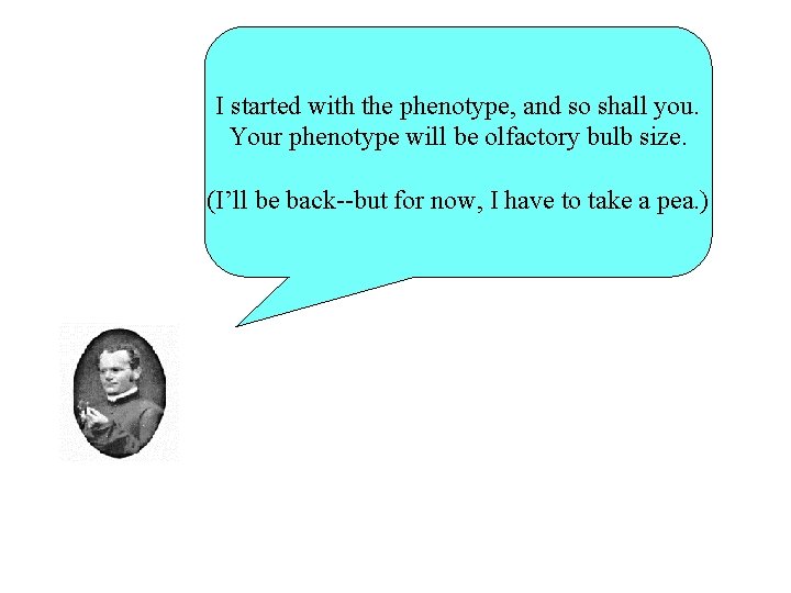 I started with the phenotype, and so shall you. Your phenotype will be olfactory