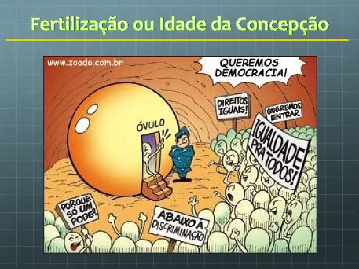 Fertilização ou Idade da Concepção 