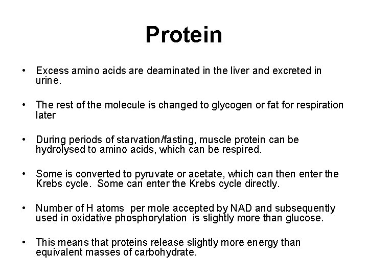 Protein • Excess amino acids are deaminated in the liver and excreted in urine.