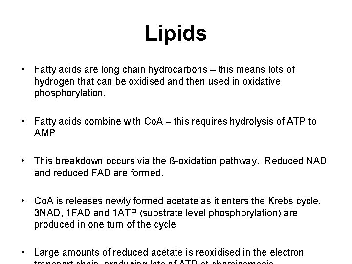 Lipids • Fatty acids are long chain hydrocarbons – this means lots of hydrogen
