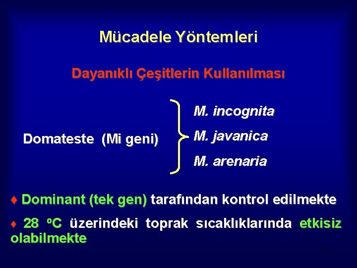 Mücadele Yöntemleri Dayanıklı Çeşitlerin Kullanılması M. incognita Domateste (Mi geni) M. javanica M. arenaria