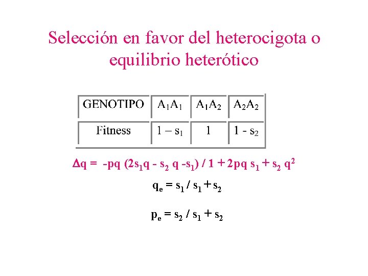 Selección en favor del heterocigota o equilibrio heterótico q = -pq (2 s 1