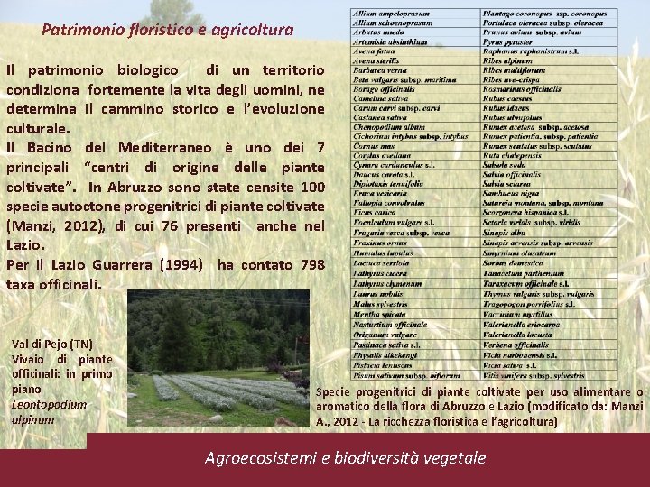 Patrimonio floristico e agricoltura Il patrimonio biologico di un territorio condiziona fortemente la vita