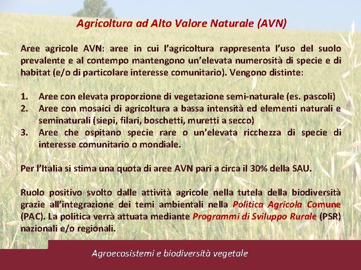 Agricoltura ad Alto Valore Naturale (AVN) Aree agricole AVN: aree in cui l’agricoltura rappresenta