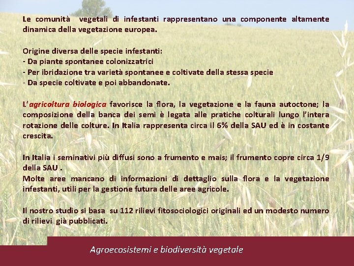 Le comunità vegetali di infestanti rappresentano una componente altamente dinamica della vegetazione europea. Origine