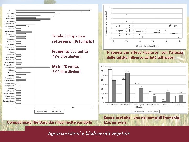 Totale: 149 specie e sottospecie (36 famiglie) Frumento: 113 entità, 78% dicotiledoni N°specie per