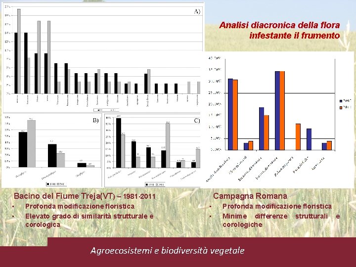 Analisi diacronica della flora infestante il frumento Bacino del Fiume Treja(VT) – 1981 -2011