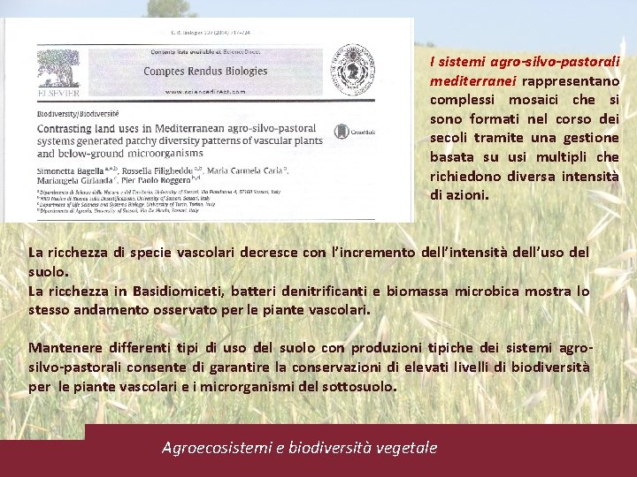 I sistemi agro-silvo-pastorali mediterranei rappresentano complessi mosaici che si sono formati nel corso dei