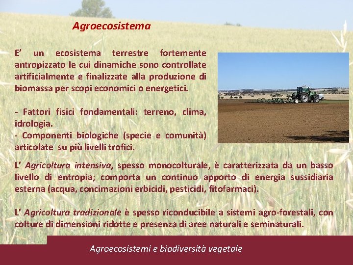 Agroecosistema E’ un ecosistema terrestre fortemente antropizzato le cui dinamiche sono controllate artificialmente e